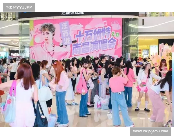 粉丝经济效应扩大 应援产品销售收入翻番 粉丝经济效应扩大 应援产品销售收入翻番